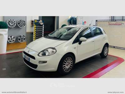 Fiat Punto Punto 1.4 8V 5p. Natural Power Street Bianco usata Venezia