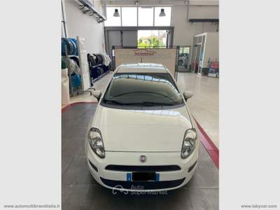 Fiat Punto Punto 1.4 8V 5p. Natural Power Street Bianco usata Venezia
