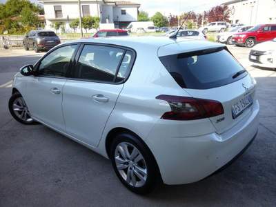 Peugeot 308 BlueHDi 100 S&S Active Bianco usata San Pietro di Feletto