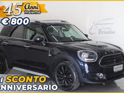 MINI Countryman Mini One Boost Countryman usata Potenza