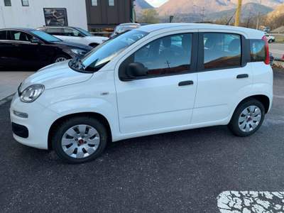 Fiat Panda 1.3 MJT Pop Bianco usata Tolmezzo