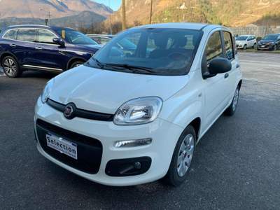 Fiat Panda 1.3 MJT Pop Bianco usata Tolmezzo