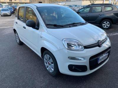 Fiat Panda 1.3 MJT Pop Bianco usata Tolmezzo