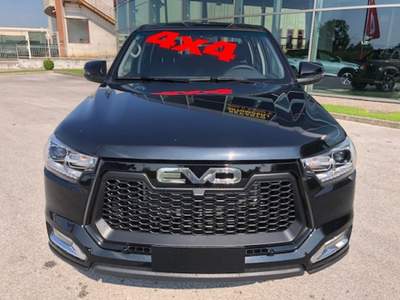 Evo Cross 4 PICK UP 2.0 TDI 4X4 "PRONTA CONSEGNA" usata Beinette
