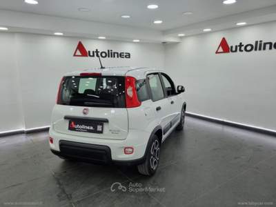 Fiat Panda Panda 1.0 FireFly S&S Hybrid City Life Bianco usata Lusciano