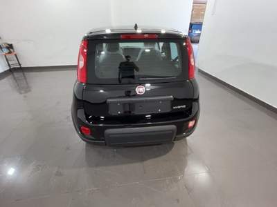 Fiat Panda 1.0 FireFly S&S Hybrid Nero usata Cannobio