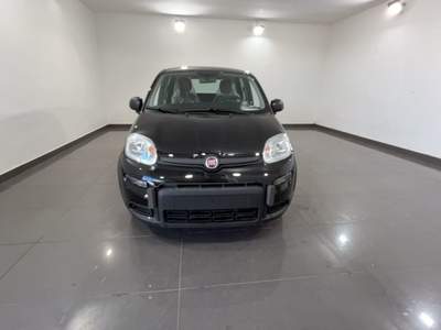 Fiat Panda 1.0 FireFly S&S Hybrid Nero usata Cannobio