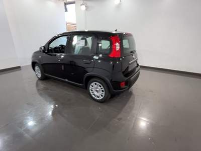 Fiat Panda 1.0 FireFly S&S Hybrid Nero usata Cannobio