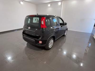 Fiat Panda 1.0 FireFly S&S Hybrid Nero usata Cannobio