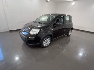 Fiat Panda 1.0 FireFly S&S Hybrid Nero usata Cannobio