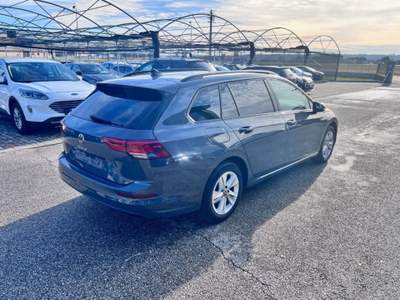 Volkswagen Golf 2.0 TDI 115 CV SCR Life Grigio usata Pieve di Soligo