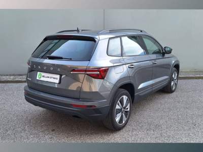 Skoda Karoq 1.0 TSI 110 CV Executive Grigio usata Feltre