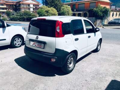 Fiat Panda 1.2 GPL Pop Van 2 posti Bianco usata Isernia