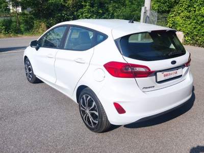 Ford Fiesta 1.5 TDCi 5 porte Plus Bianco usata BEDIZZOLE