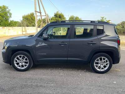 Jeep Renegade 1.6 Mjt 130 CV Business Grigio usata Lecce