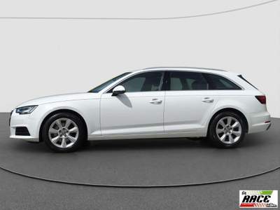 Audi A4 35 TDI S tronic Business Bianco usata Pieve a Nievole