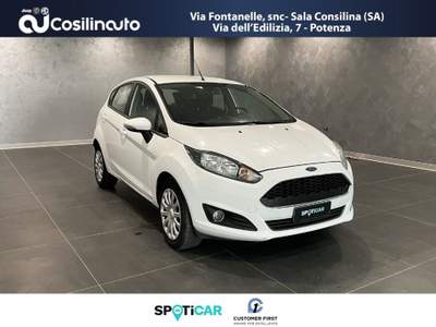 Ford Fiesta 1.4 5p. 75 Cv GPL Bianco usata Sala Consilina