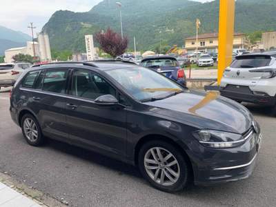 Volkswagen Golf 1.6 TDI 115 CV DSG Business BlueMotion Tech. Grigio usata Tolmezzo
