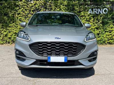 Ford Kuga 1.5 EcoBlue 120 CV 2WD ST-Line Grigio usata Bologna