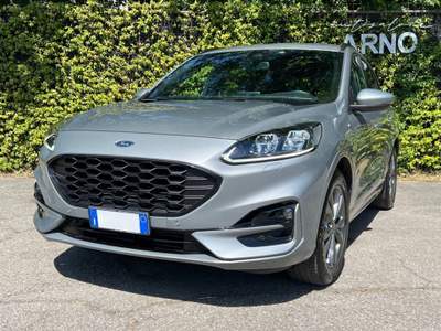 Ford Kuga 1.5 EcoBlue 120 CV 2WD ST-Line Grigio usata Bologna