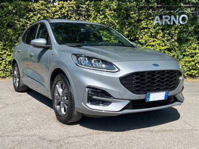 Ford Kuga 1.5 EcoBlue 120 CV 2WD ST-Line Grigio usata Bologna Ford Kuga 1.5 EcoBlue 120 CV 2WD ST-Line Grigio usata Bologna