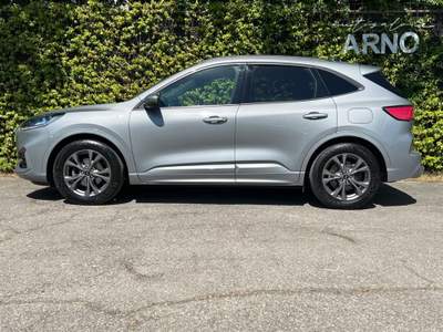 Ford Kuga 1.5 EcoBlue 120 CV 2WD ST-Line Grigio usata Bologna