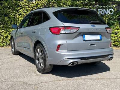 Ford Kuga 1.5 EcoBlue 120 CV 2WD ST-Line Grigio usata Bologna