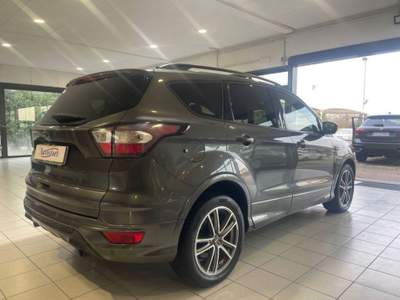 Ford Kuga 2.0 TDCI 150CV 4WD POWERSHIFT ST-LINE Grigio usata Alessandria