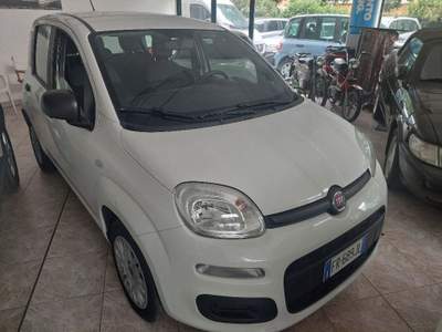 Fiat Panda 1.2 Easy Bianco usata Bagnolo in Piano