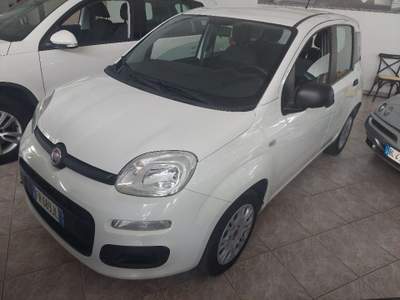 Fiat Panda 1.2 Easy Bianco usata Bagnolo in Piano