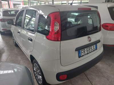 Fiat Panda 1.2 Easy Bianco usata Bagnolo in Piano