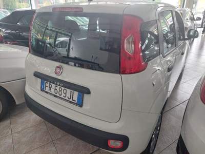 Fiat Panda 1.2 Easy Bianco usata Bagnolo in Piano