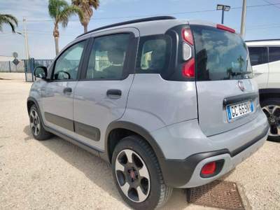 Fiat Panda 1.0 FireFly S&S Hybrid Grigio usata Petrosino