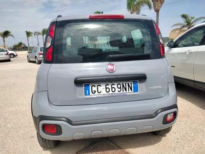 Fiat Panda 1.0 FireFly S&S Hybrid Grigio usata Petrosino