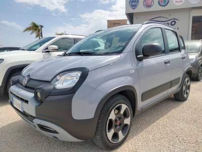Fiat Panda 1.0 FireFly S&S Hybrid Grigio usata Petrosino