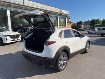 Mazda CX-30 2.0L Skyactiv-G M Hybrid 2WD Executive usata Lucca