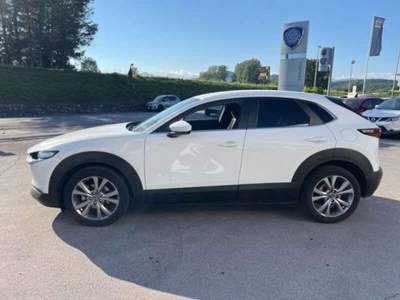 Mazda CX-30 2.0L Skyactiv-G M Hybrid 2WD Executive usata Lucca