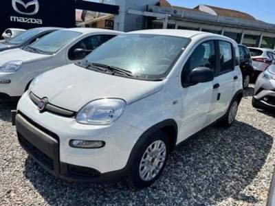 Fiat Panda 1.0 FireFly S&S Hybrid usata Lucca