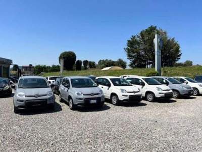 Fiat Panda 1.0 FireFly S&S Hybrid usata Lucca