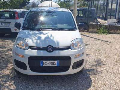 Fiat Panda 1.2 Easy Bianco usata Penne
