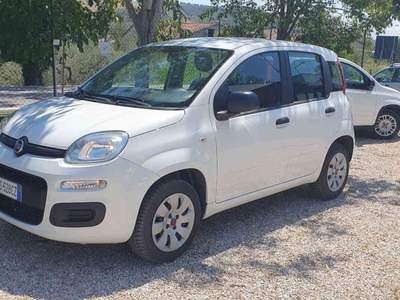 Fiat Panda 1.2 Easy Bianco usata Penne