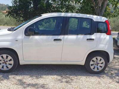 Fiat Panda 1.2 Easy Bianco usata Penne