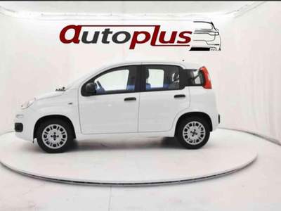 Fiat Panda 1.2 Easy Bianco usata Penne Fiat Panda 1.2 Easy Bianco usata Penne