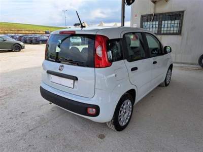 Fiat Panda 1.0 firefly hybrid s&s 70cv 5p.ti Bianco usata Sassari