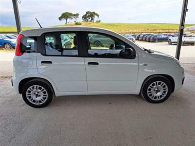 Fiat Panda 1.0 firefly hybrid s&s 70cv 5p.ti Bianco usata Sassari