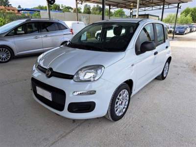 Fiat Panda 1.0 firefly hybrid s&s 70cv 5p.ti Bianco usata Sassari