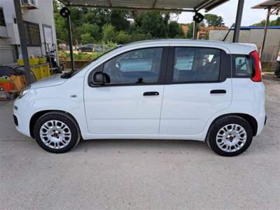 Fiat Panda 1.0 firefly hybrid s&s 70cv 5p.ti Bianco usata Sassari