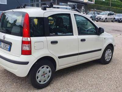 Fiat Panda 1.2 Dynamic Bianco usata Penne