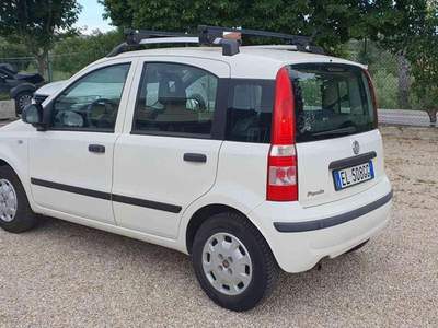 Fiat Panda 1.2 Dynamic Bianco usata Penne