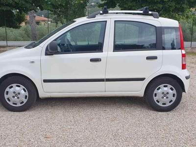 Fiat Panda 1.2 Dynamic Bianco usata Penne